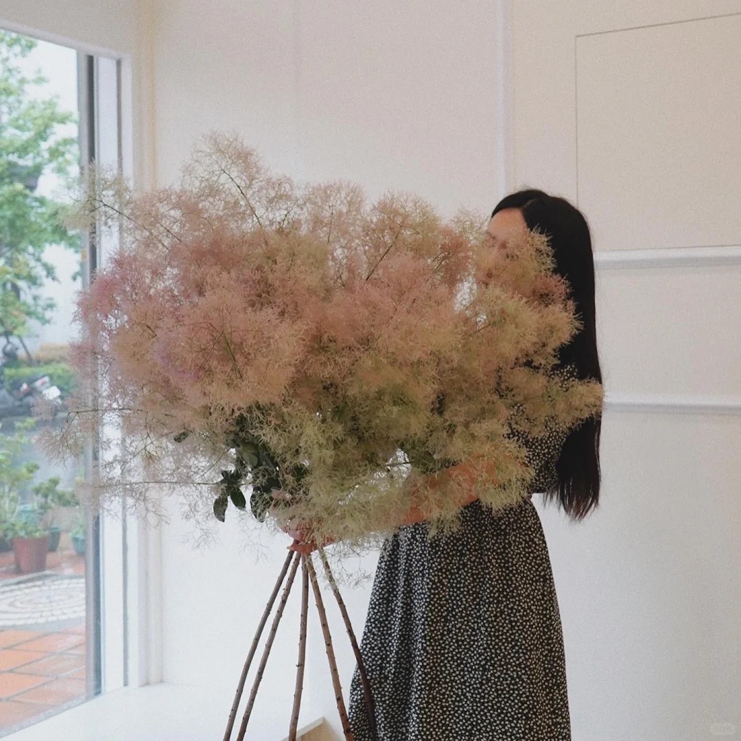 "Lạc lối" trước bình hoa khói tím: Loài cây nhìn như mây bông đang gây sốt góc nhà chị em- Ảnh 10. "Lạc lối" trước bình hoa khói tím: Loài cây nhìn như mây bông đang gây sốt góc nhà chị em- Ảnh 10.