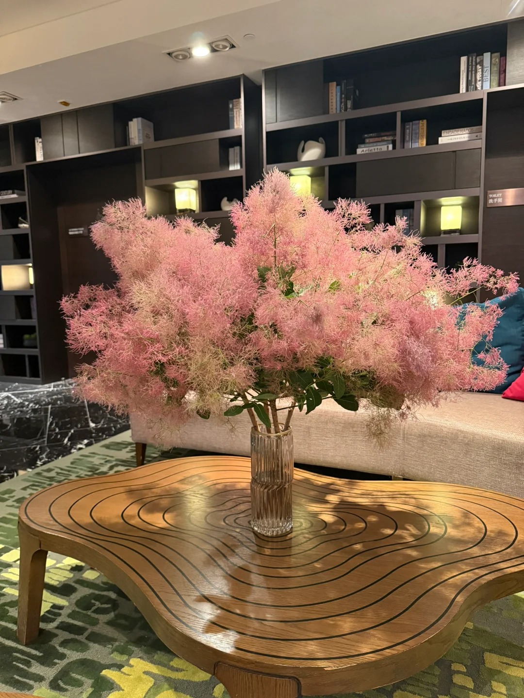 "Lạc lối" trước bình hoa khói tím: Loài cây nhìn như mây bông đang gây sốt góc nhà chị em- Ảnh 14. "Lạc lối" trước bình hoa khói tím: Loài cây nhìn như mây bông đang gây sốt góc nhà chị em- Ảnh 14.