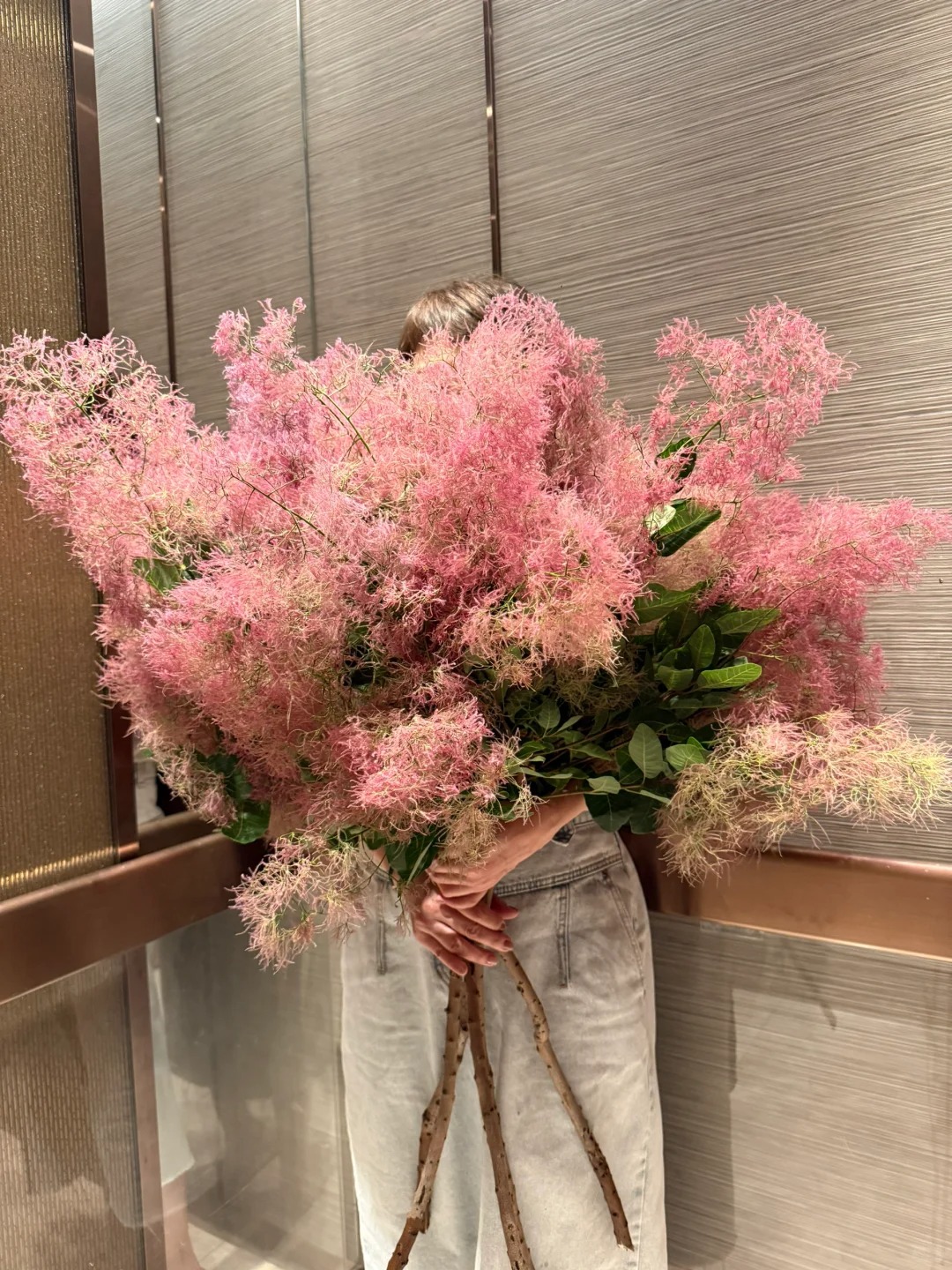 "Lạc lối" trước bình hoa khói tím: Loài cây nhìn như mây bông đang gây sốt góc nhà chị em- Ảnh 8. "Lạc lối" trước bình hoa khói tím: Loài cây nhìn như mây bông đang gây sốt góc nhà chị em- Ảnh 8.