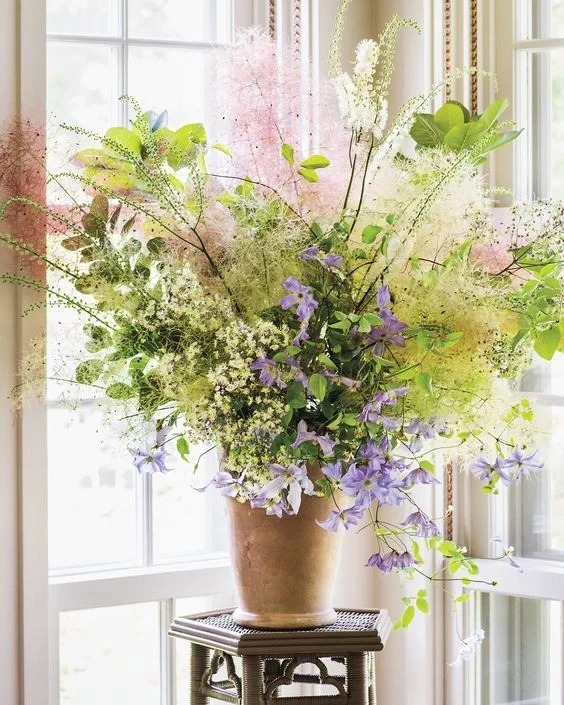 "Lạc lối" trước bình hoa khói tím: Loài cây nhìn như mây bông đang gây sốt góc nhà chị em- Ảnh 16. "Lạc lối" trước bình hoa khói tím: Loài cây nhìn như mây bông đang gây sốt góc nhà chị em- Ảnh 16.