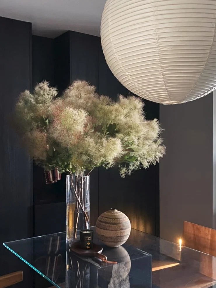 "Lạc lối" trước bình hoa khói tím: Loài cây nhìn như mây bông đang gây sốt góc nhà chị em- Ảnh 21. "Lạc lối" trước bình hoa khói tím: Loài cây nhìn như mây bông đang gây sốt góc nhà chị em- Ảnh 21.