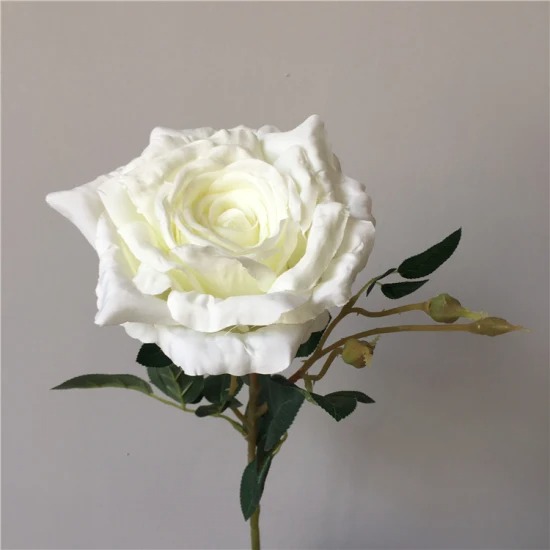 5 loài hoa đại kỵ thờ cúng, tuyệt đối không thắp hương- Ảnh 4.