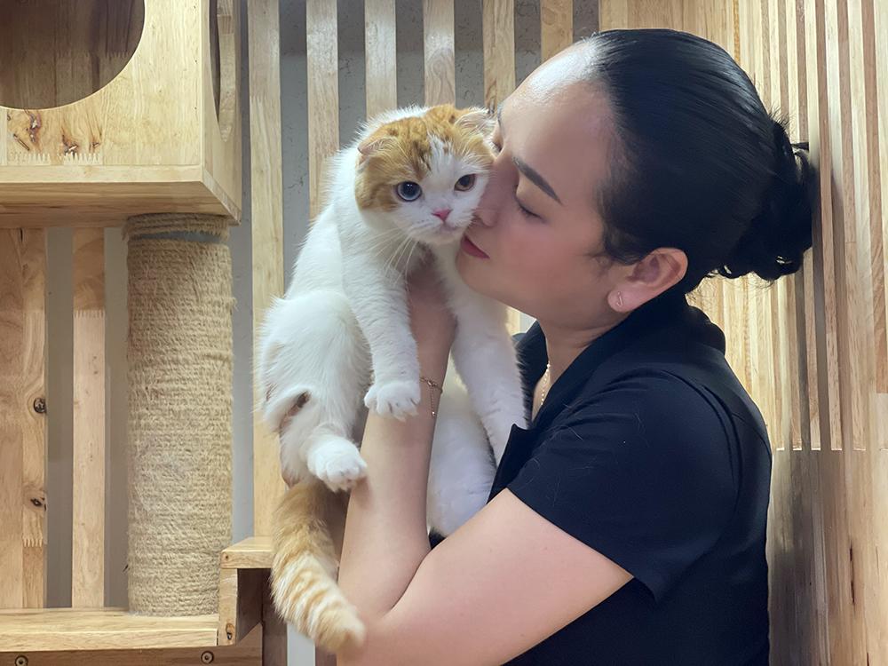 Mèo Anh lông ngắn – “bé bánh bao” đang chiếm trái tim người trẻ Sài Gòn- Ảnh 2.