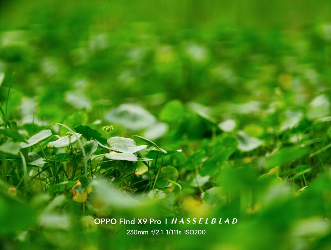 Cuối tuần “chill – quẩy” ở Hưng Yên qua ống kính OPPO Find X9 Pro- Ảnh 5. Cuối tuần “chill – quẩy” ở Hưng Yên qua ống kính OPPO Find X9 Pro- Ảnh 5.