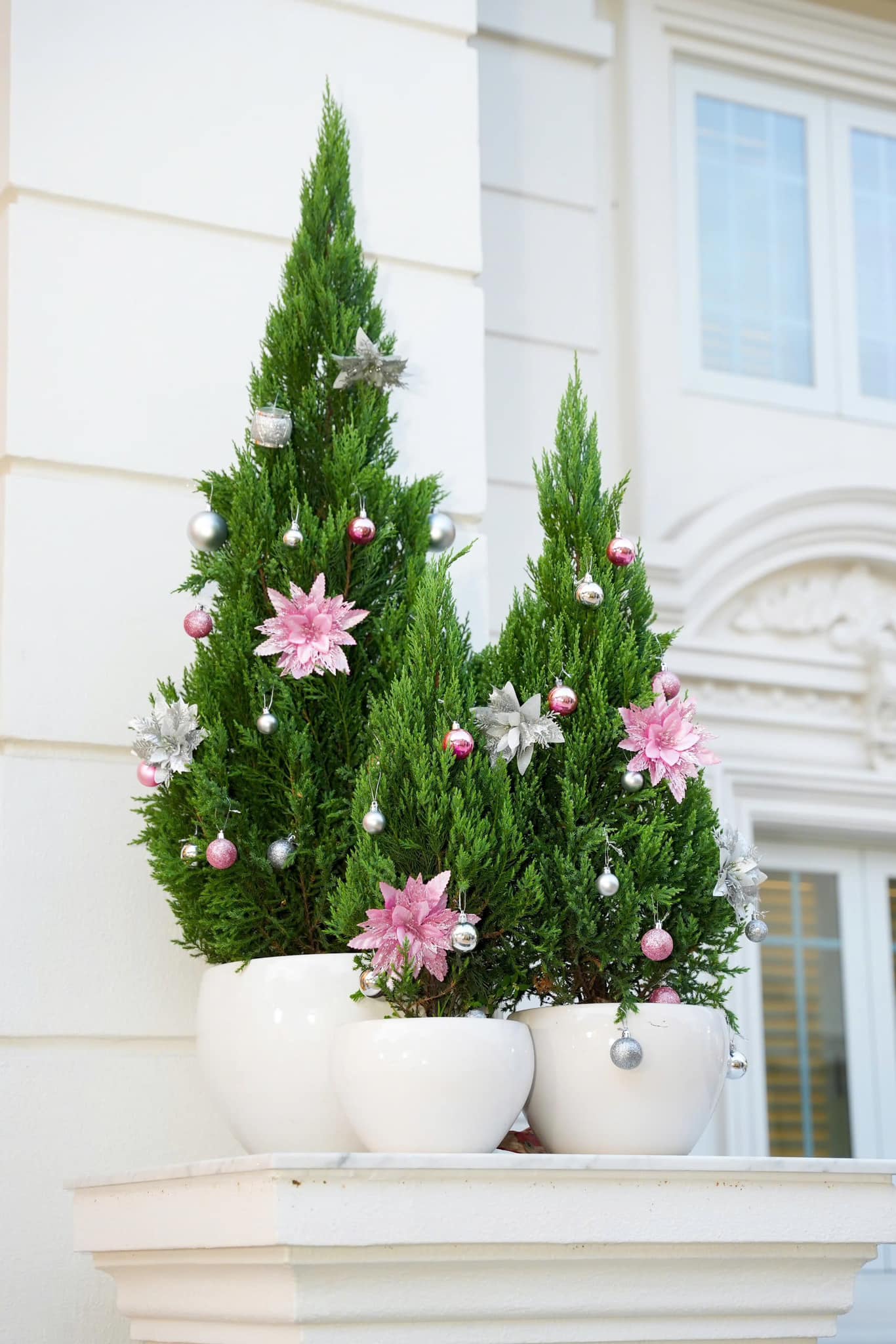 200 tỷ của doanh nhân Phương Lê và NSƯT Vũ Luân- Ảnh 10.