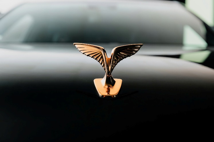 Lạc Hồng 900 LX – Xe sang mang hồn Việt- Ảnh 2. Lạc Hồng 900 LX – Xe sang mang hồn Việt- Ảnh 2.