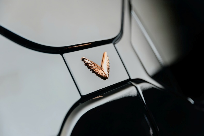 Lạc Hồng 900 LX – Xe sang mang hồn Việt- Ảnh 7. Lạc Hồng 900 LX – Xe sang mang hồn Việt- Ảnh 7.