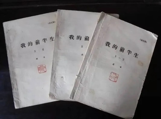 Số tài sản Phổ Nghi để lại gây choáng: Vì sao Lý Thục Hiền theo đuổi vụ kiện 10 năm chỉ để giữ một thứ?- Ảnh 4. Số tài sản Phổ Nghi để lại gây choáng: Vì sao Lý Thục Hiền theo đuổi vụ kiện 10 năm chỉ để giữ một thứ?- Ảnh 4.