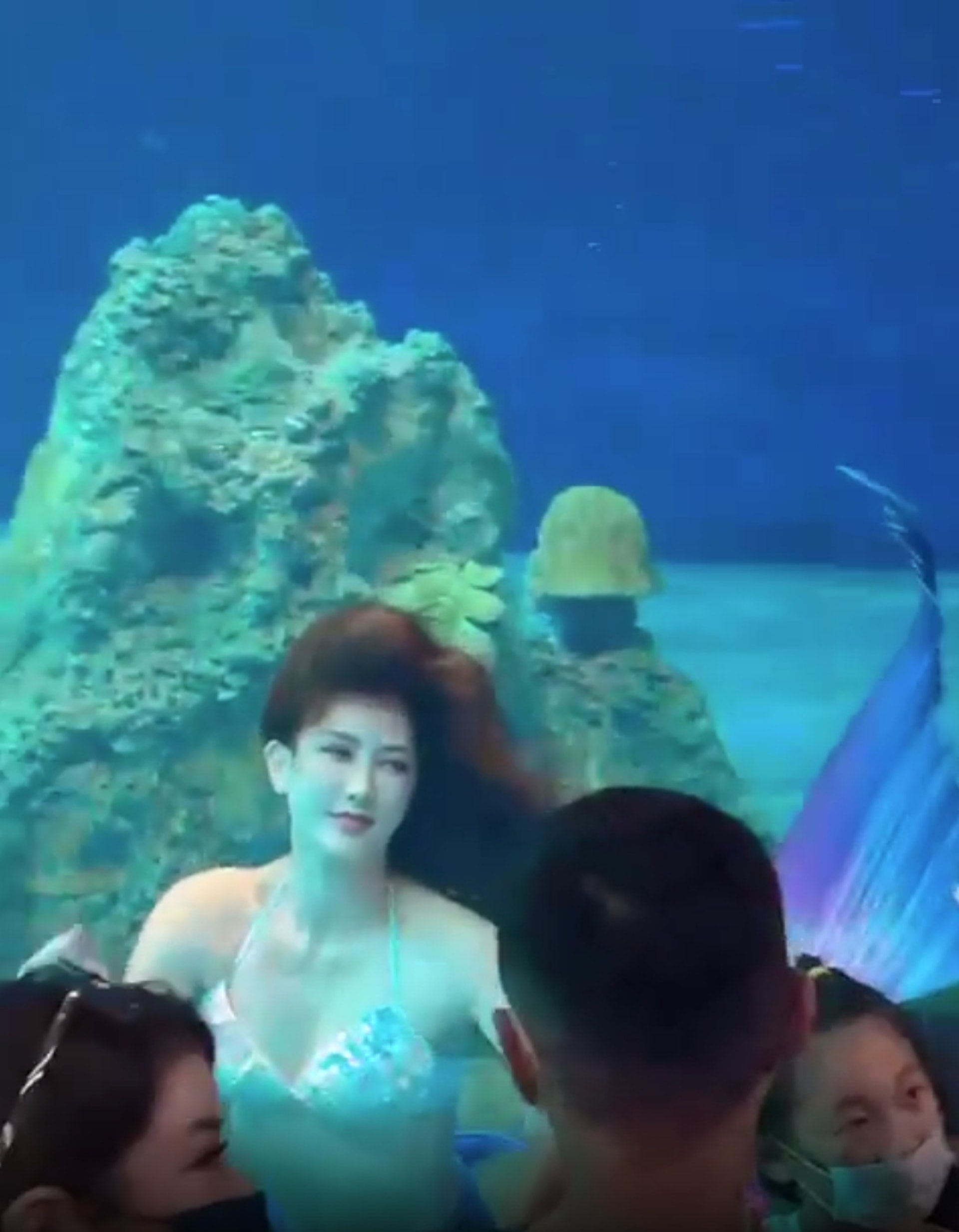 photo-1764305746766 photo-1764305746766