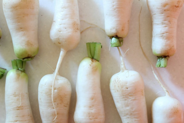 Chuyên gia Nhật giảm 6kg sau 4 tháng nhờ uống nước ép "nhân sâm trắng", Việt Nam bán giá siêu rẻ- Ảnh 1. Chuyên gia Nhật giảm 6kg sau 4 tháng nhờ uống nước ép "nhân sâm trắng", Việt Nam bán giá siêu rẻ- Ảnh 1.