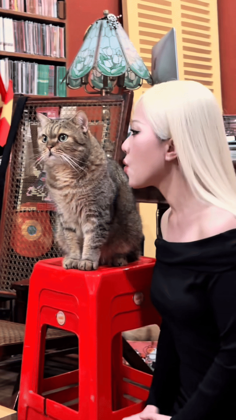 Nữ ca sĩ phiền nhất showbiz- Ảnh 4. Nữ ca sĩ phiền nhất showbiz- Ảnh 4.