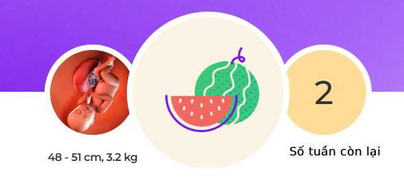 Tuần thai thứ 38: Bé yêu đã sẵn sàng chào đời, mẹ hãy chuẩn bị đồ đi sinh!- Ảnh 1.