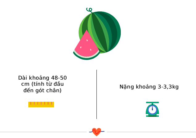 Tuần thai thứ 38: Bé yêu đã sẵn sàng chào đời, mẹ hãy chuẩn bị đồ đi sinh!- Ảnh 3.
