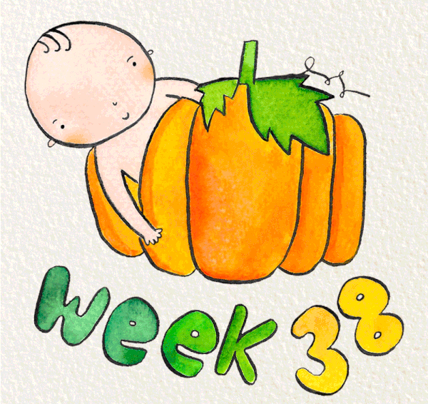 Tuần thai thứ 38: Bé yêu đã sẵn sàng chào đời, mẹ hãy chuẩn bị đồ đi sinh!- Ảnh 8.