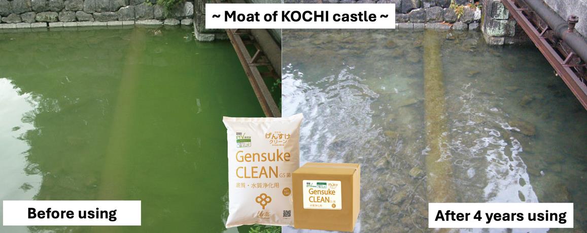 Cơ hội hợp tác với giải pháp công nghệ môi trường từ tỉnh Kochi - Nhật Bản- Ảnh 1. Cơ hội hợp tác với giải pháp công nghệ môi trường từ tỉnh Kochi - Nhật Bản- Ảnh 1.