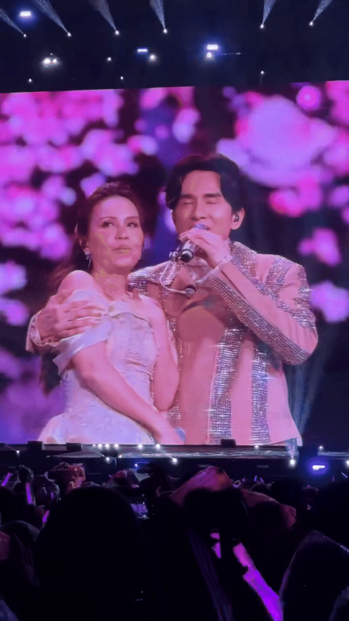 Lo cho giọng hát của Cẩm Ly- Ảnh 2.