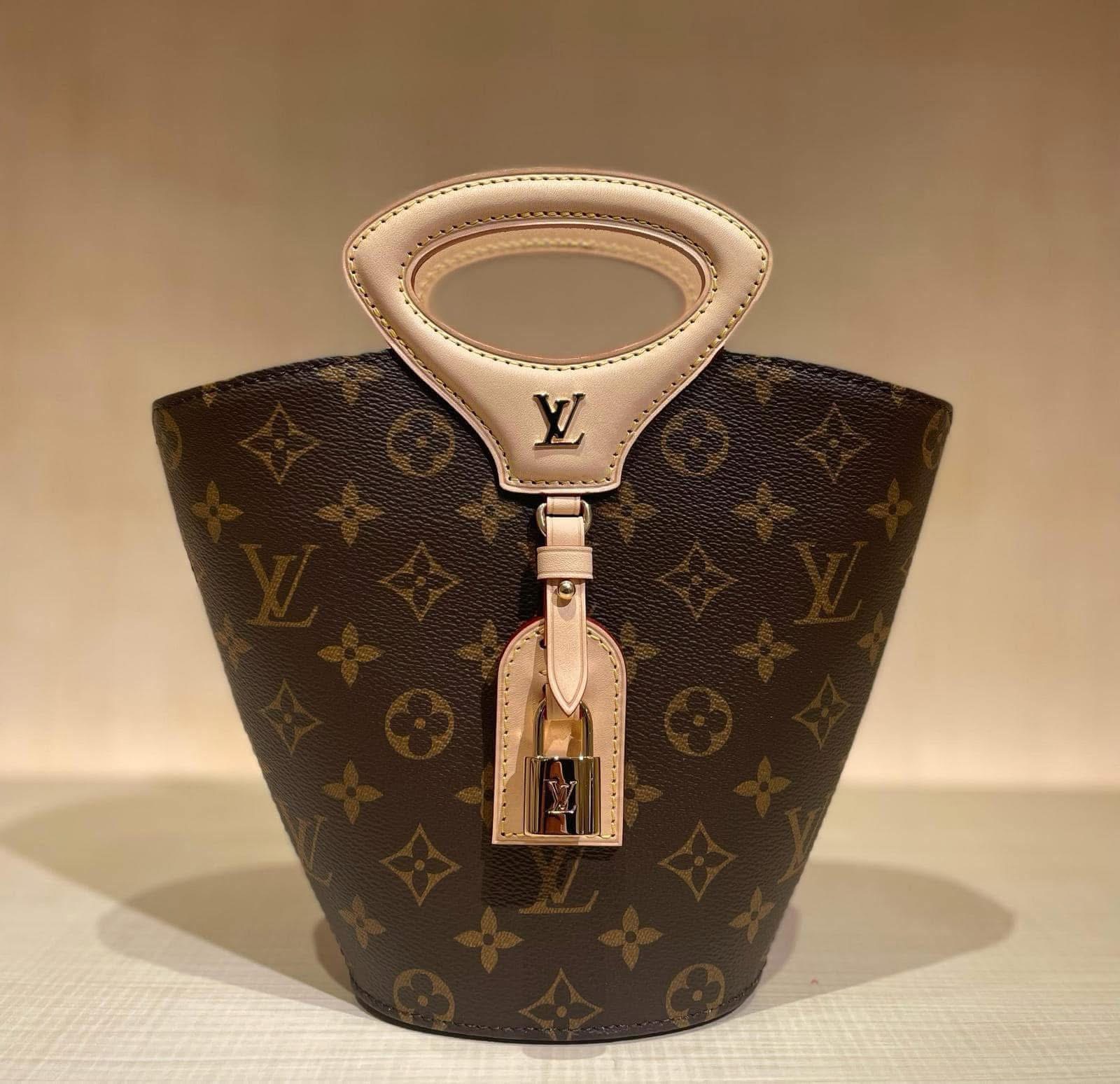 BST túi hàng hiệu của Đoàn Di Băng: Hermès đựng cún cưng, Dior và Chanel để đi chợ- Ảnh 31.