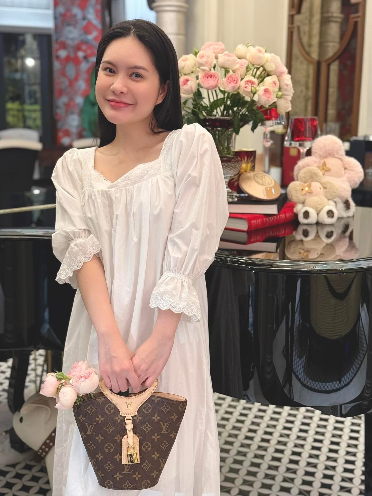 BST túi hàng hiệu của Đoàn Di Băng: Hermès đựng cún cưng, Dior và Chanel để đi chợ- Ảnh 29.