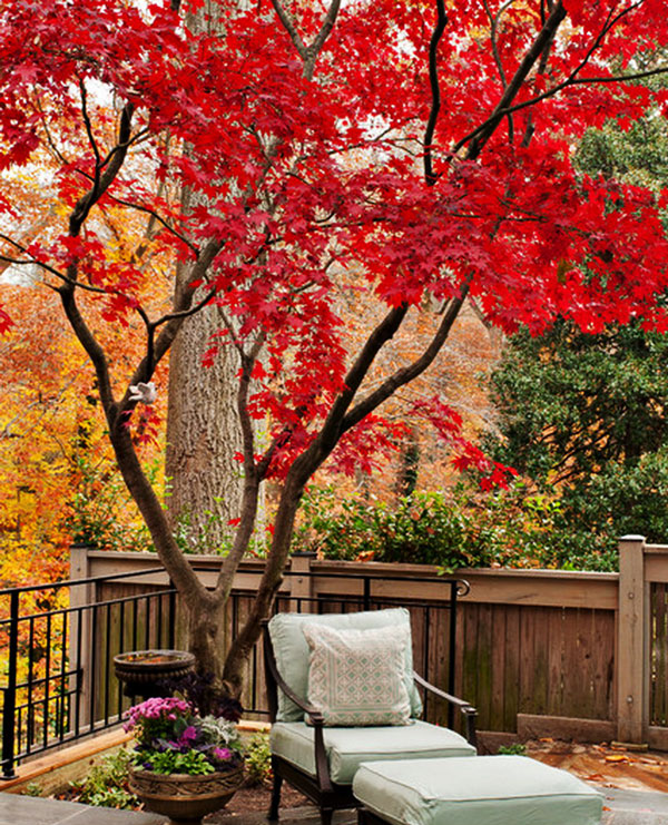 photo-1762326789278 photo-1762326789278