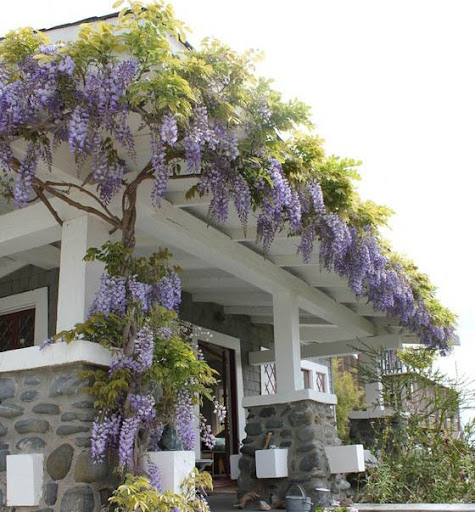 photo-1762326845688 photo-1762326845688