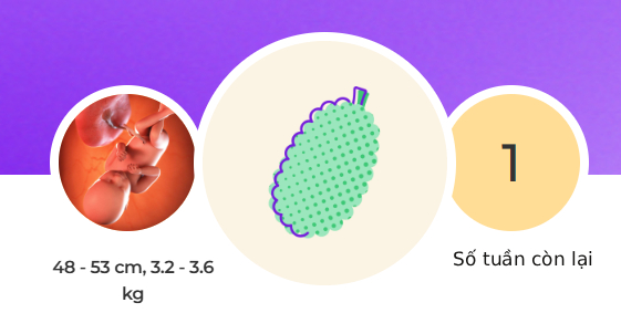 Tuần thai thứ 39: Bé yêu chờ ngày chào đời, tử cung của mẹ co bóp mạnh- Ảnh 1. Tuần thai thứ 39: Bé yêu chờ ngày chào đời, tử cung của mẹ co bóp mạnh- Ảnh 1.