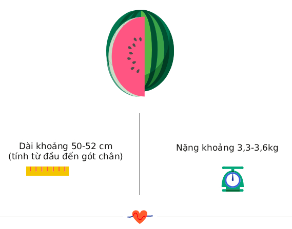 Tuần thai thứ 40: Ngày dự sinh đã đến, bé đã hoàn toàn sẵn sàng gặp mẹ rồi!- Ảnh 3.