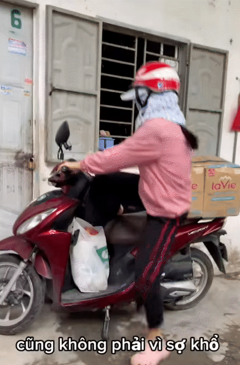 Nuôi 2 con với 3 triệu/tháng - bữa cơm 30k vẫn đủ 3 món: Mẹ đơn thân tiết lộ bí quyết ai cũng nể- Ảnh 9. Nuôi 2 con với 3 triệu/tháng - bữa cơm 30k vẫn đủ 3 món: Mẹ đơn thân tiết lộ bí quyết ai cũng nể- Ảnh 9.