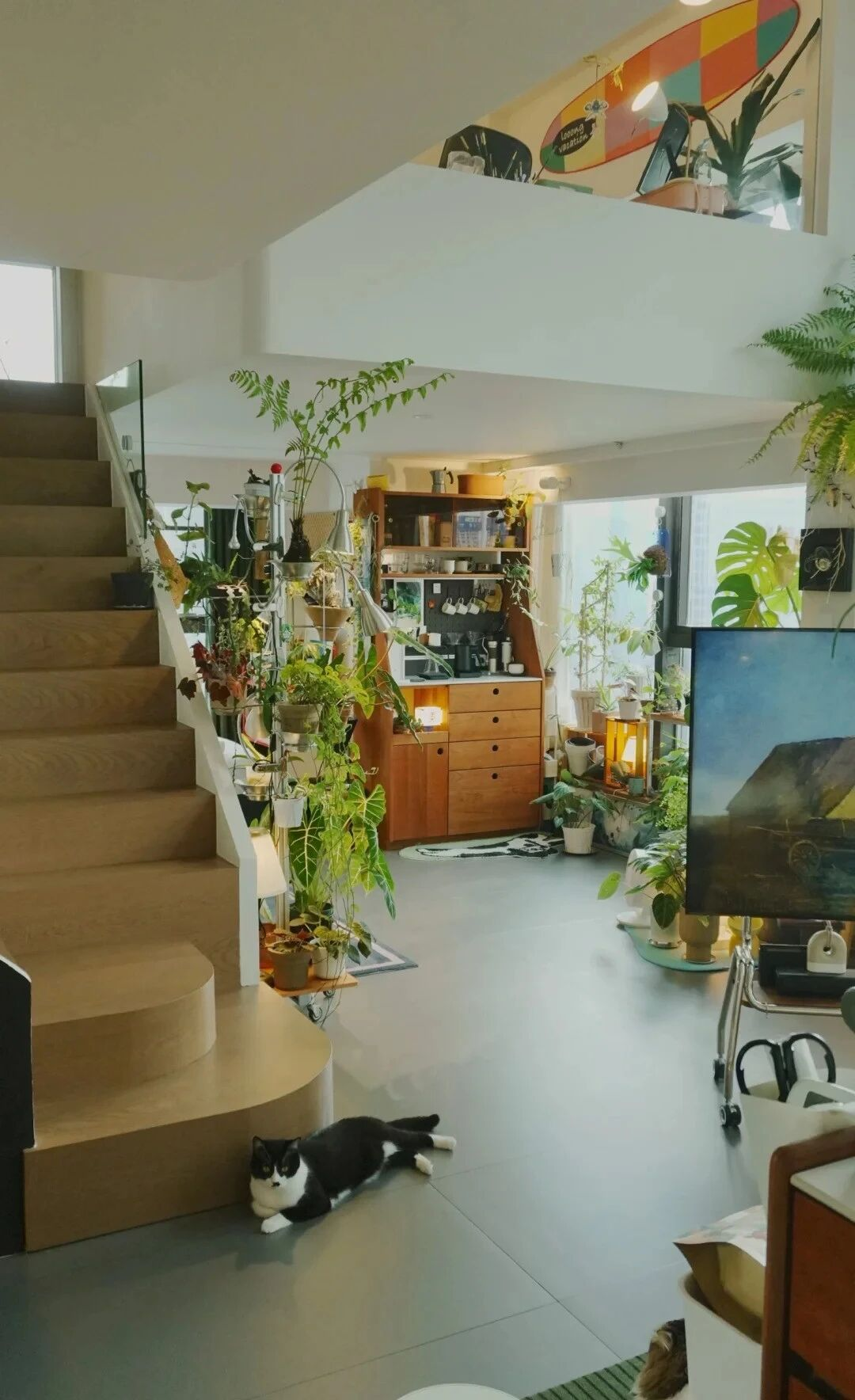 Đây là căn nhà nhiều đồ dùng nhưng gọn nhất mà tôi từng thấy- Ảnh 7. Đây là căn nhà nhiều đồ dùng nhưng gọn nhất mà tôi từng thấy- Ảnh 7.