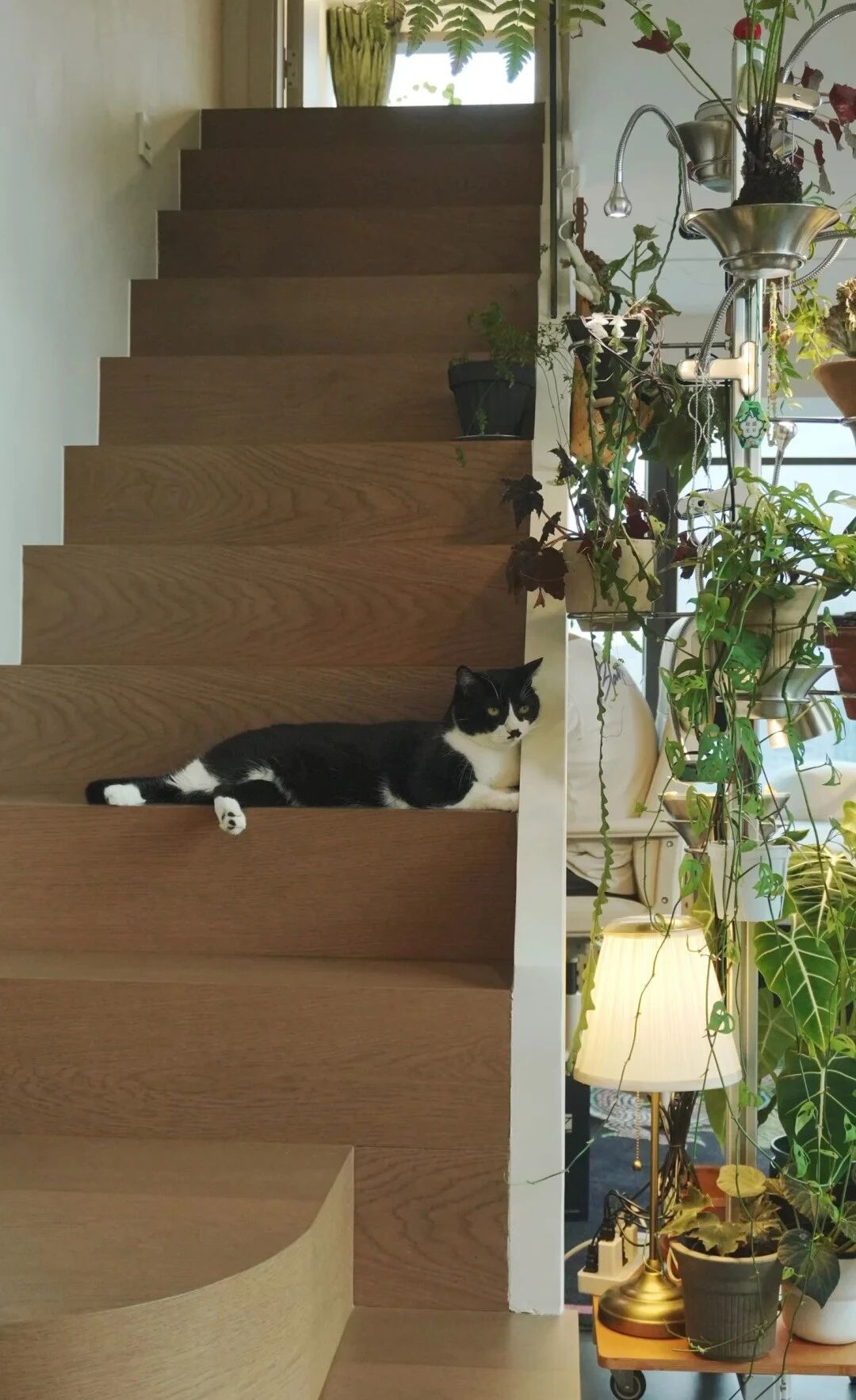 Đây là căn nhà nhiều đồ dùng nhưng gọn nhất mà tôi từng thấy- Ảnh 10. Đây là căn nhà nhiều đồ dùng nhưng gọn nhất mà tôi từng thấy- Ảnh 10.