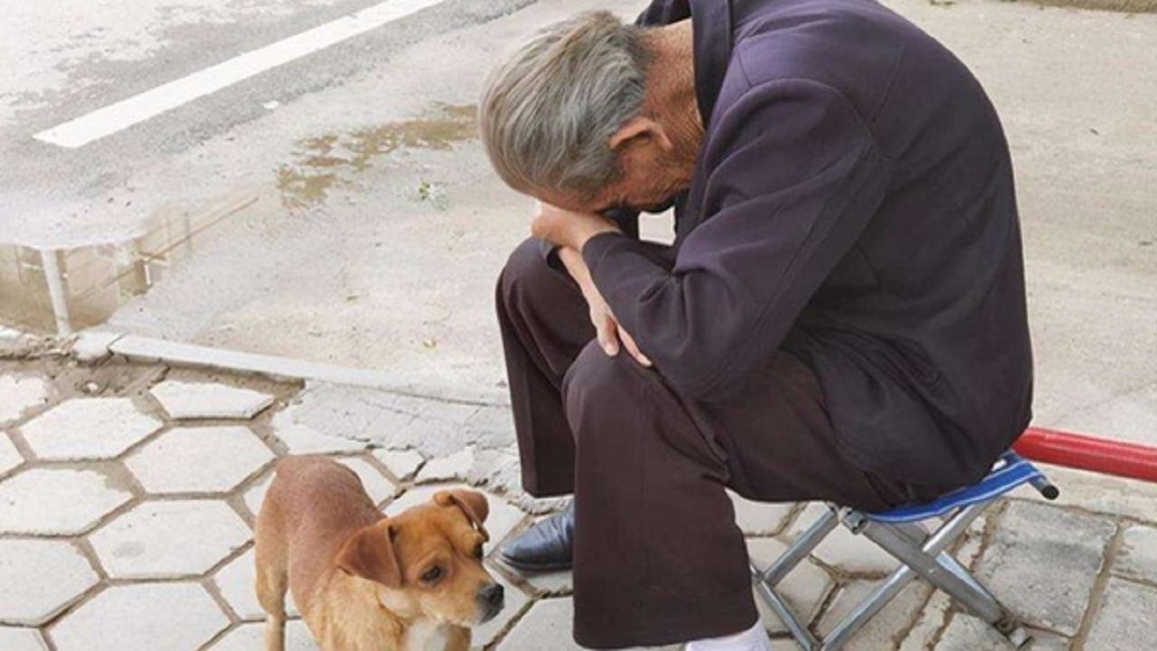 3 hình thức "bất hiếu" mới đang lan rộng, nhiều cha mẹ âm thầm chịu đựng, còn "cắn răng" ca ngợi con cái!- Ảnh 1. 3 hình thức "bất hiếu" mới đang lan rộng, nhiều cha mẹ âm thầm chịu đựng, còn "cắn răng" ca ngợi con cái!- Ảnh 1.