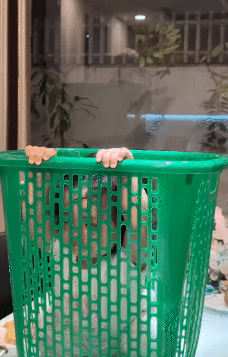 Đẻ con gái như bé út nhà Đông Nhi: Cô nhóc Hannie Đẻ con gái như bé út nhà Đông Nhi: Cô nhóc Hannie