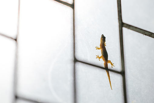 6 tin nhắn ông bố gửi cô giáo giữa đêm khiến loạt phụ huynh "DẬY SÓNG": Bạn đứng về phía nào?- Ảnh 1. 6 tin nhắn ông bố gửi cô giáo giữa đêm khiến loạt phụ huynh "DẬY SÓNG": Bạn đứng về phía nào?- Ảnh 1.