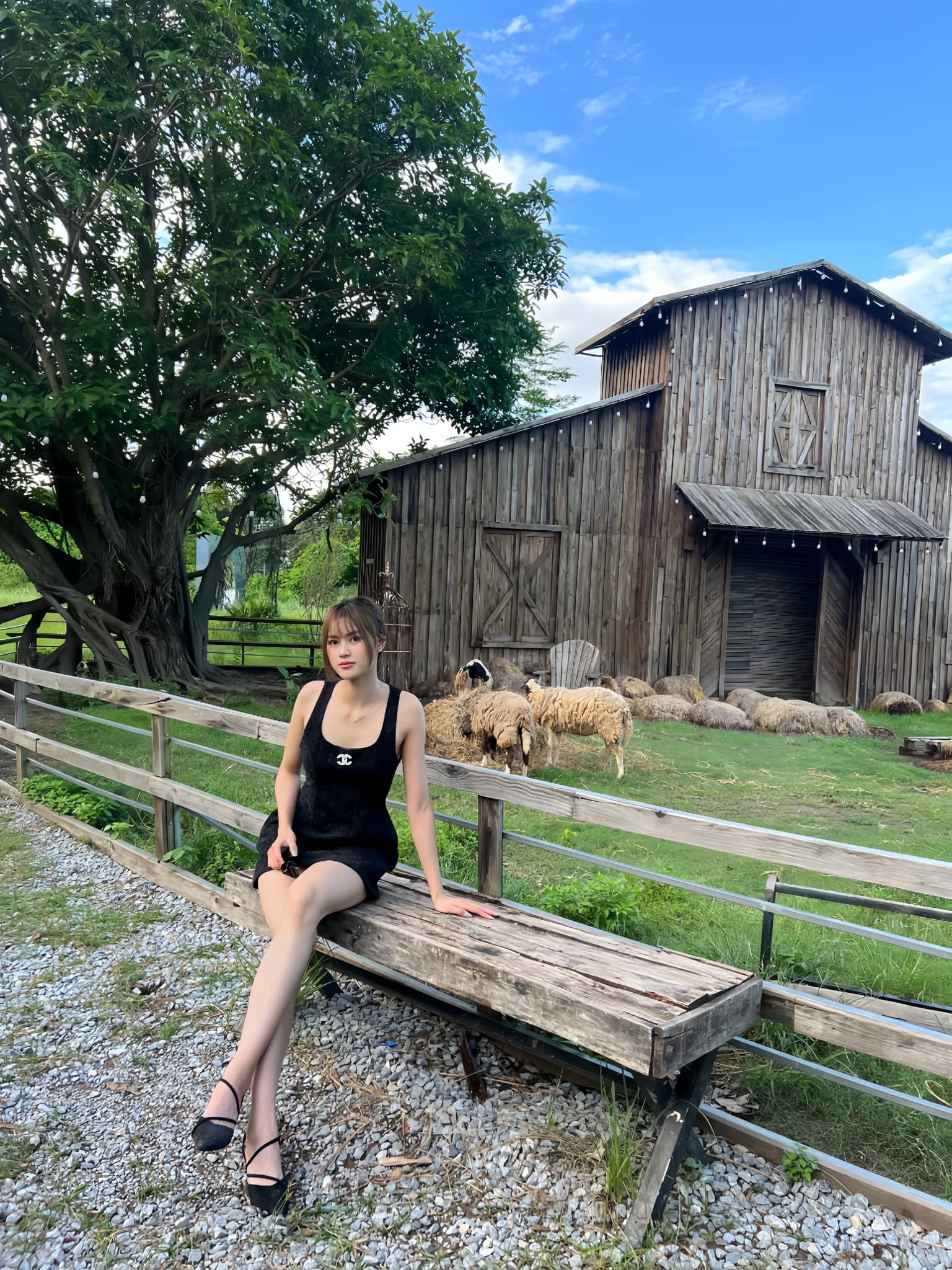 Ngắm đôi chân dài 1m15 của mỹ nhân đấu kiếm Việt, "bản sao Hoa hậu Đỗ Hà" ở SEA Games 33- Ảnh 13. Ngắm đôi chân dài 1m15 của mỹ nhân đấu kiếm Việt, "bản sao Hoa hậu Đỗ Hà" ở SEA Games 33- Ảnh 13.