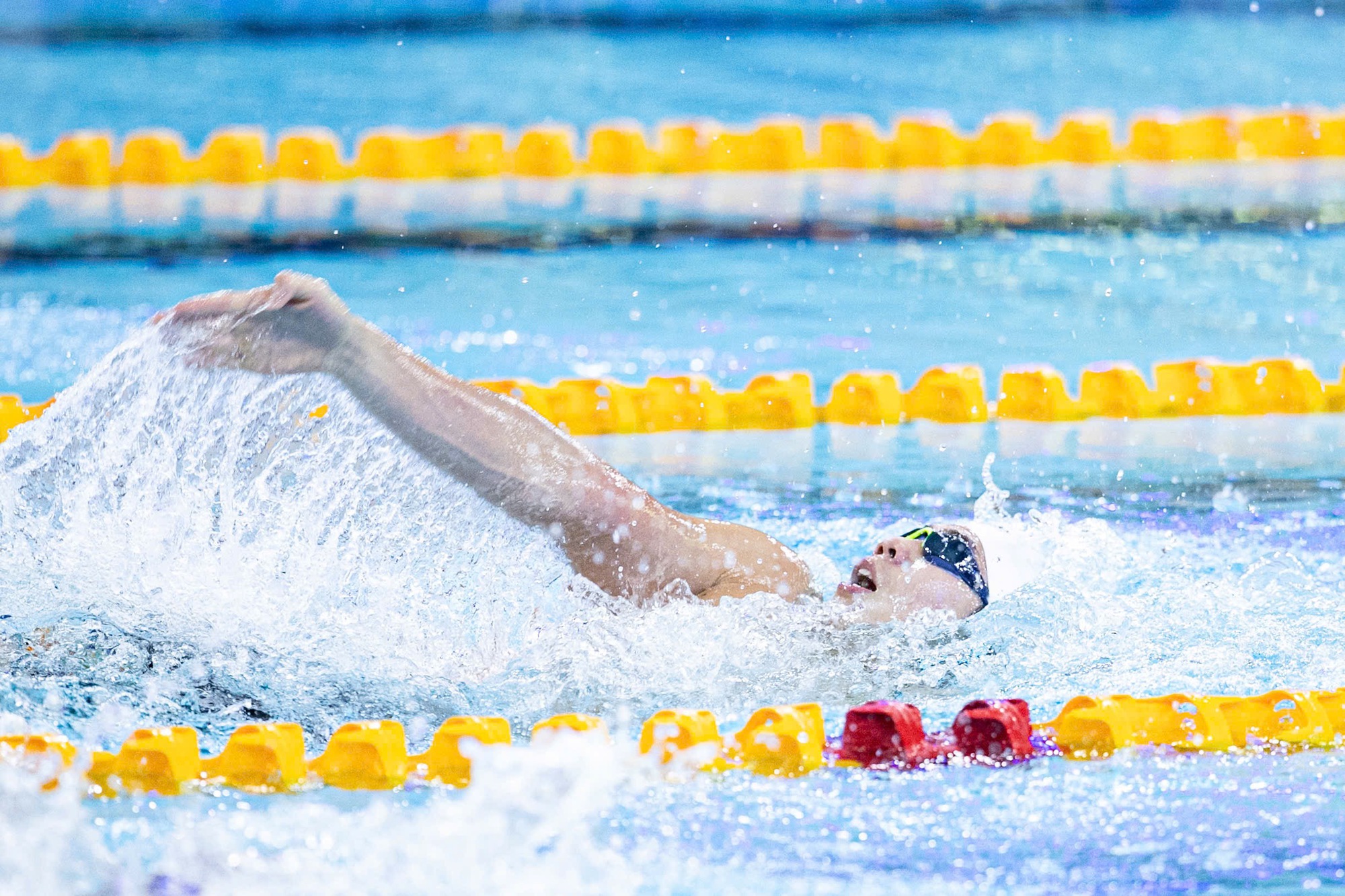 Quang Thuấn - em trai Ánh Viên bơi "out trình", xuất sắc giành HCV SEA Games- Ảnh 4. Quang Thuấn - em trai Ánh Viên bơi "out trình", xuất sắc giành HCV SEA Games- Ảnh 4.