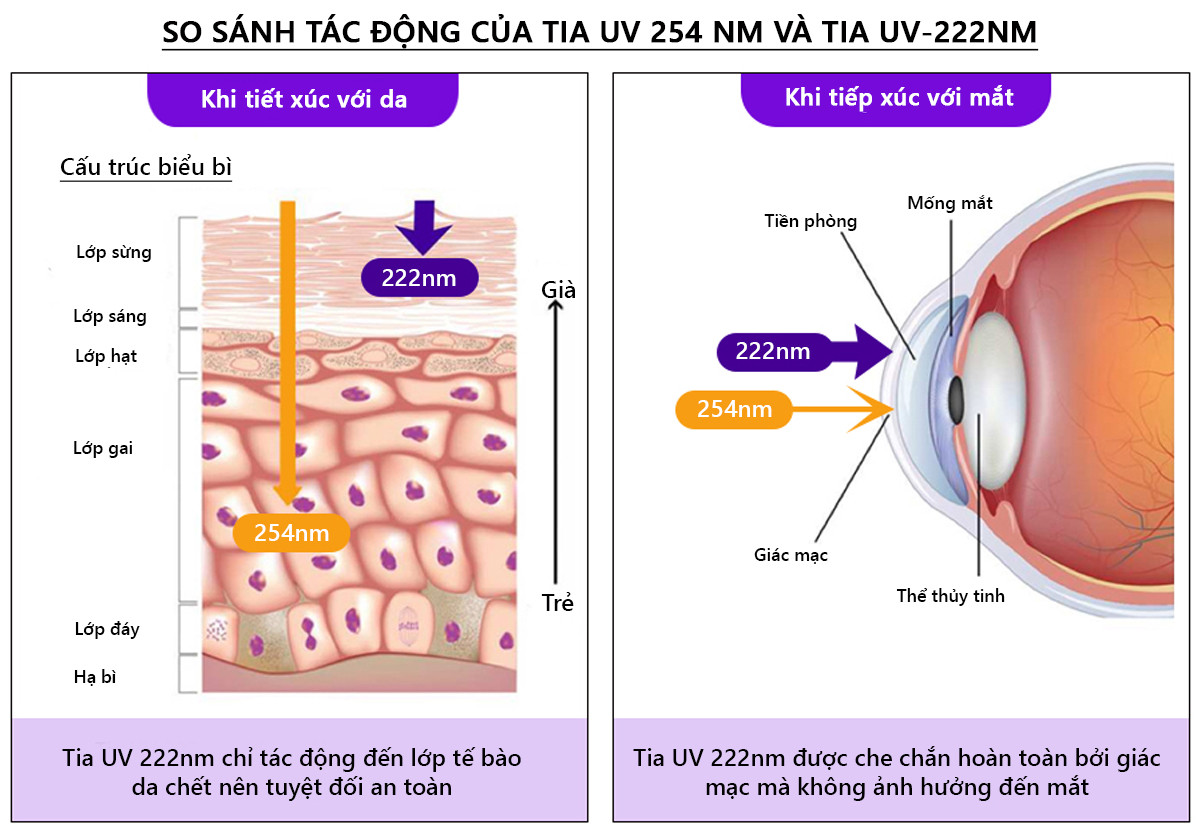 Đèn UV Rama 222 khử trùng trực tiếp trong phòng có người – bước đột phá về công nghệ UV tại Việt Nam- Ảnh 1. Đèn UV Rama 222 khử trùng trực tiếp trong phòng có người – bước đột phá về công nghệ UV tại Việt Nam- Ảnh 1.