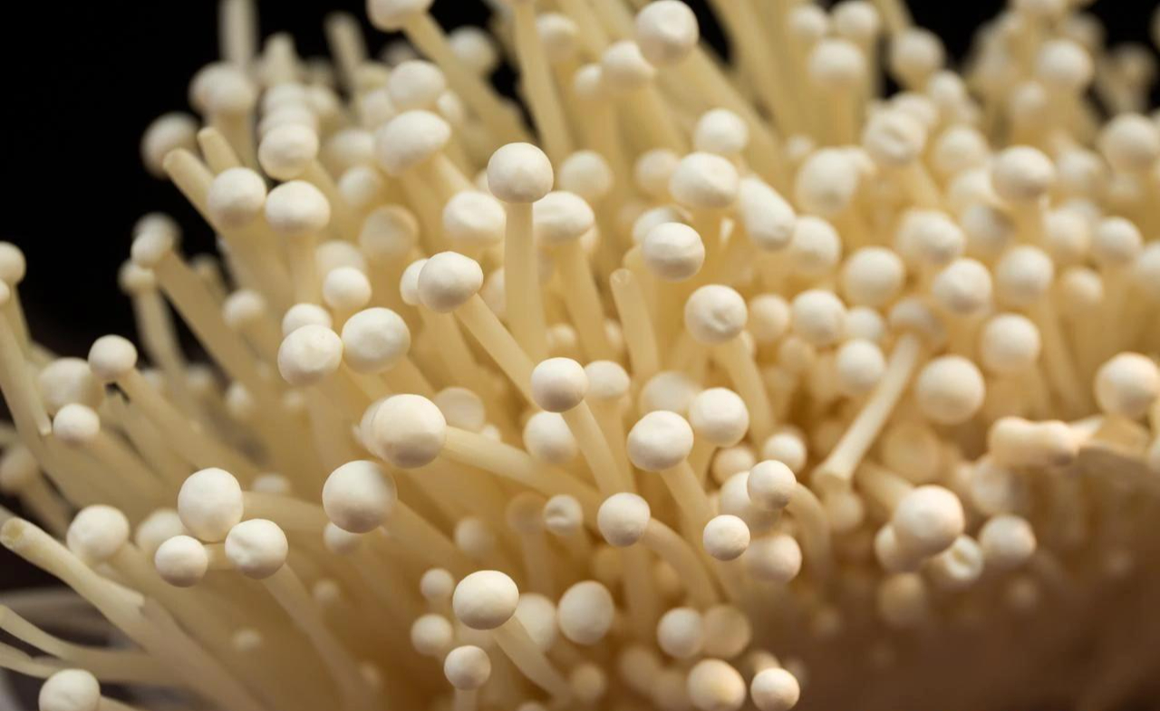 5 loại rau củ mùa đông mẹ đảm tuyệt đối đừng mua kẻo hại cả nhà, nhất là loại thứ 2 ai cũng thích- Ảnh 5. 5 loại rau củ mùa đông mẹ đảm tuyệt đối đừng mua kẻo hại cả nhà, nhất là loại thứ 2 ai cũng thích- Ảnh 5.