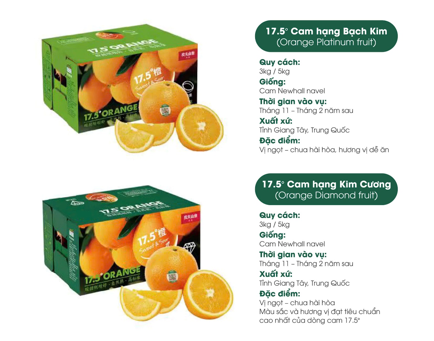 Cam 17.5° Nongfu Spring nổi tiếng tại Trung Quốc sắp về Việt Nam- Ảnh 3.