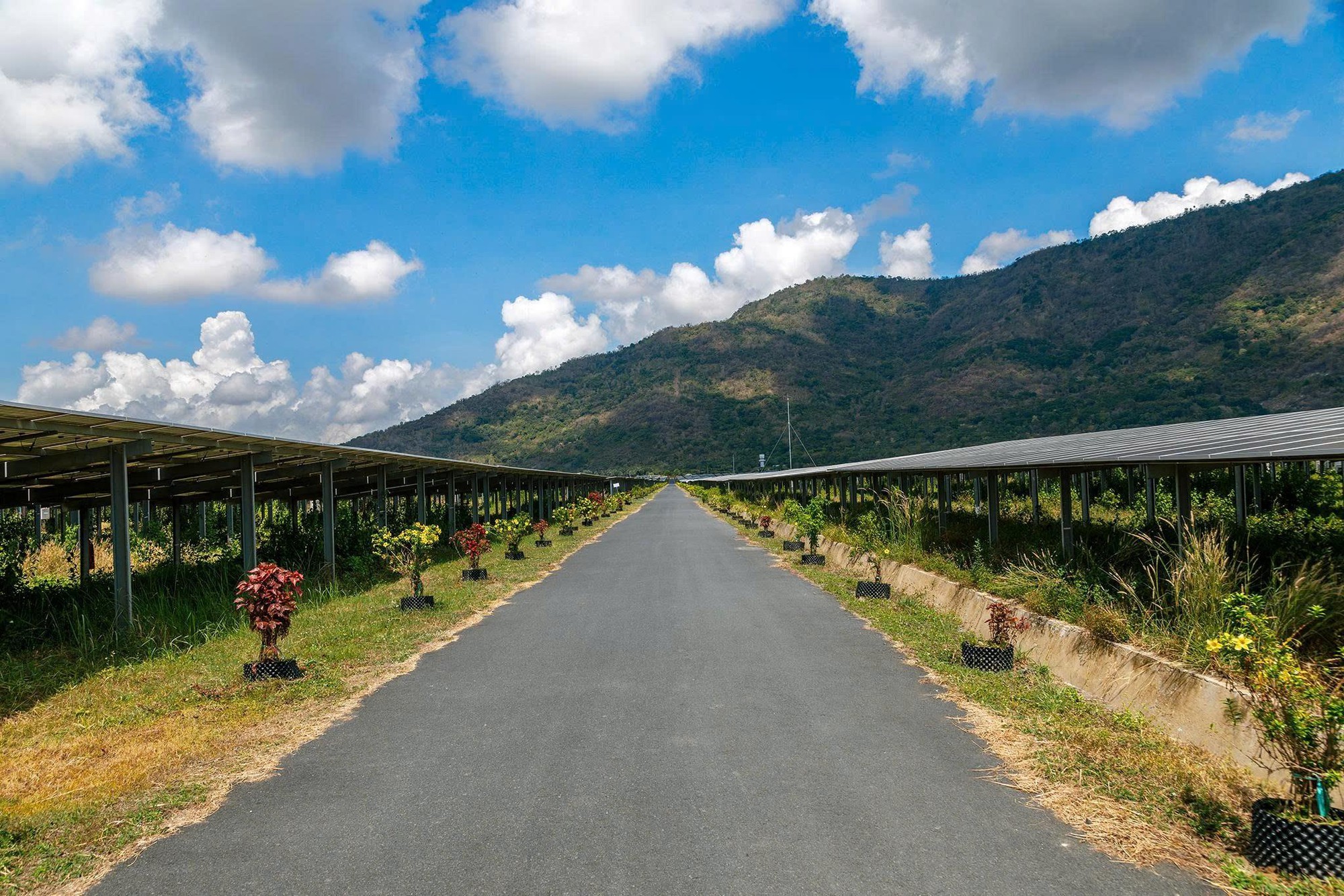 Điện sạch và quyền lợi cộng đồng: câu chuyện công bằng và sức khỏe- Ảnh 1. Điện sạch và quyền lợi cộng đồng: câu chuyện công bằng và sức khỏe- Ảnh 1.