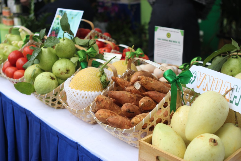 Dấu ấn của Học viện Nông nghiệp Việt Nam tại TechFest 2025: Công nghệ Nông nghiệp lên ngôi- Ảnh 1. Dấu ấn của Học viện Nông nghiệp Việt Nam tại TechFest 2025: Công nghệ Nông nghiệp lên ngôi- Ảnh 1.