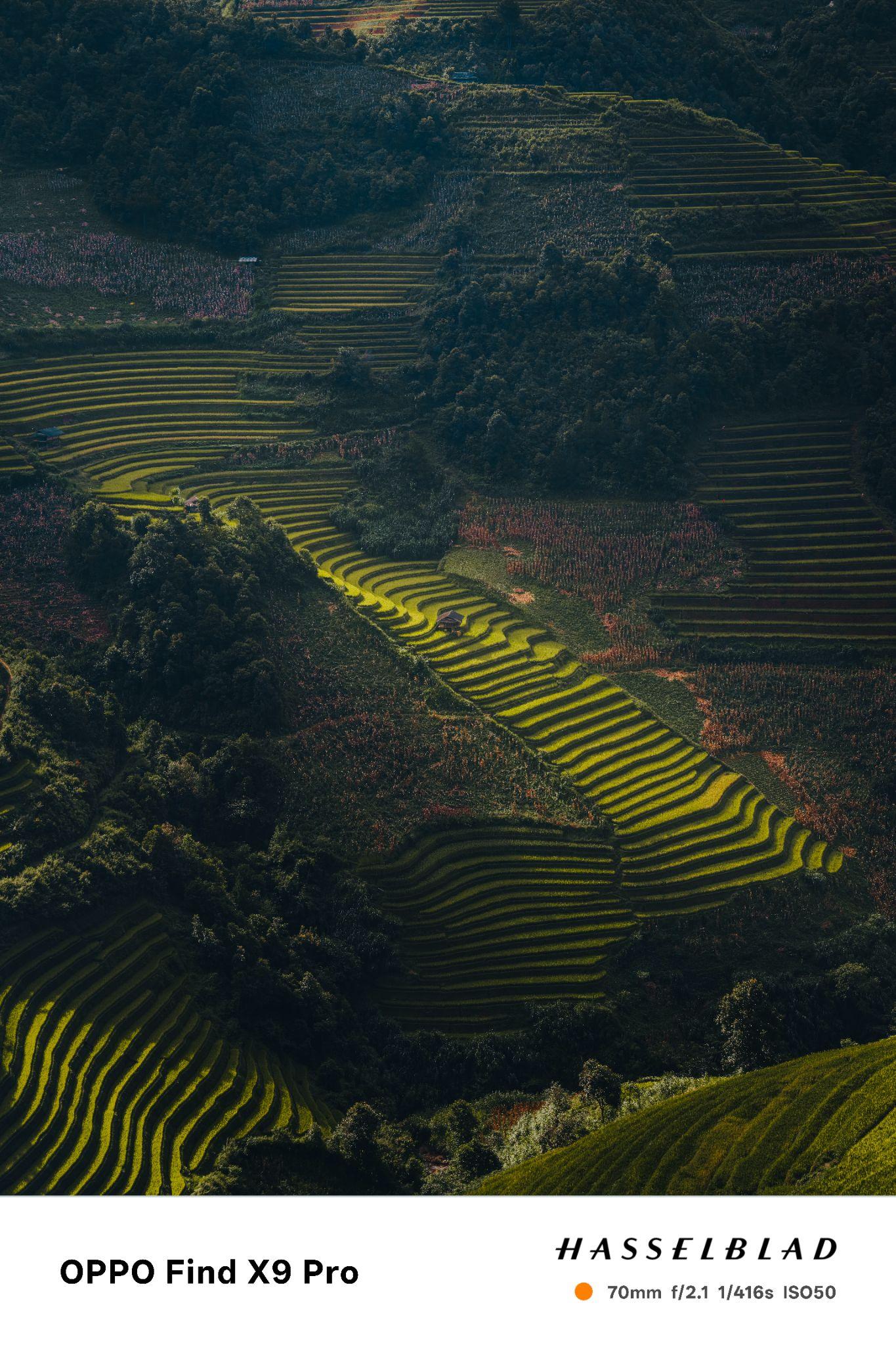 “Zoom Into Vietnam – Để Thấy. Để Thêm Yêu”: Hành trình tìm kiếm những rung cảm quê hương bằng lăng kính OPPO Find X9 Series- Ảnh 3.