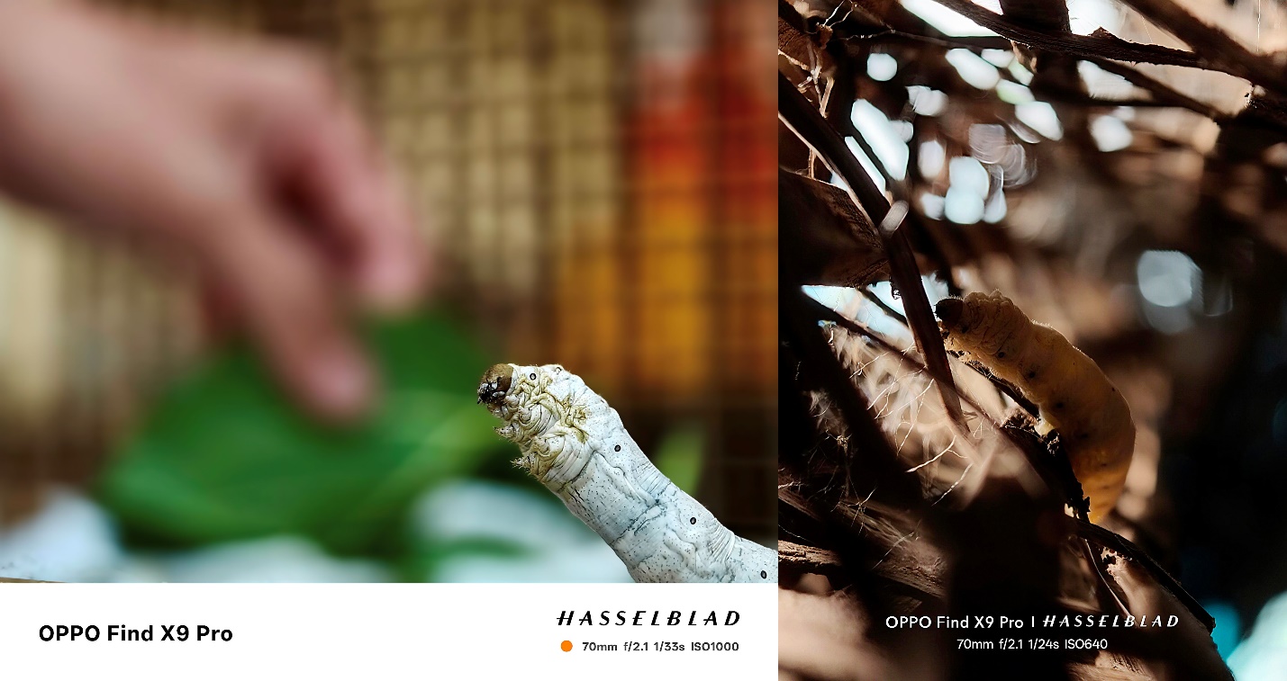 “Zoom Into Vietnam – Để Thấy. Để Thêm Yêu”: Hành trình tìm kiếm những rung cảm quê hương bằng lăng kính OPPO Find X9 Series- Ảnh 4.