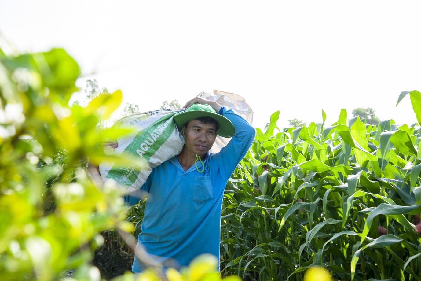 Chuỗi 6.000 hộ, 10.000 ha vùng nguyên liệu: Nỗ lực của Antesco nâng sinh kế nông dân- Ảnh 4. Chuỗi 6.000 hộ, 10.000 ha vùng nguyên liệu: Nỗ lực của Antesco nâng sinh kế nông dân- Ảnh 4.