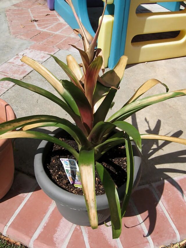 Phòng khách càng phạm 5 thứ này, tài vận gia đình càng xuống - dọn lại sớm để con cháu thịnh vượng lâu dài- Ảnh 4.