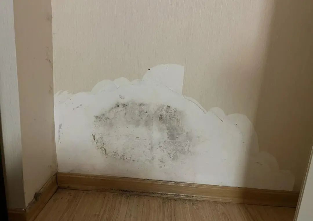 Tôi muốn mua căn hướng Tây, bố mẹ nhất quyết chọn hướng Đông: Nhưng vì 1 câu nói đã khiến cả nhà tôi đổi ý- Ảnh 3.