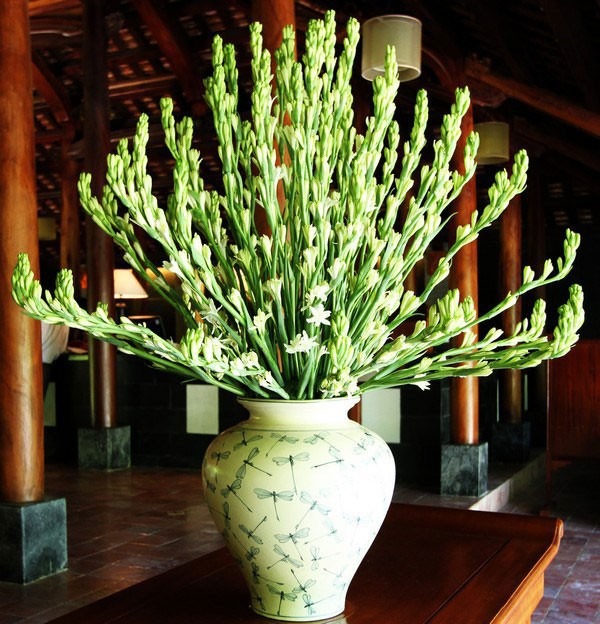 Mùng 1 cúng 5 loài hoa này: Bề trên hài lòng, hanh thông cả tháng- Ảnh 2. Mùng 1 cúng 5 loài hoa này: Bề trên hài lòng, hanh thông cả tháng- Ảnh 2.