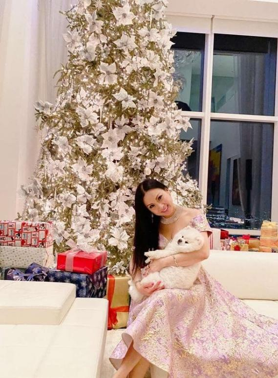 Ca sĩ Việt giàu nhất thế giới ở penthouse 2.600 tỷ, view nhìn thẳng New York- Ảnh 6. Ca sĩ Việt giàu nhất thế giới ở penthouse 2.600 tỷ, view nhìn thẳng New York- Ảnh 6.