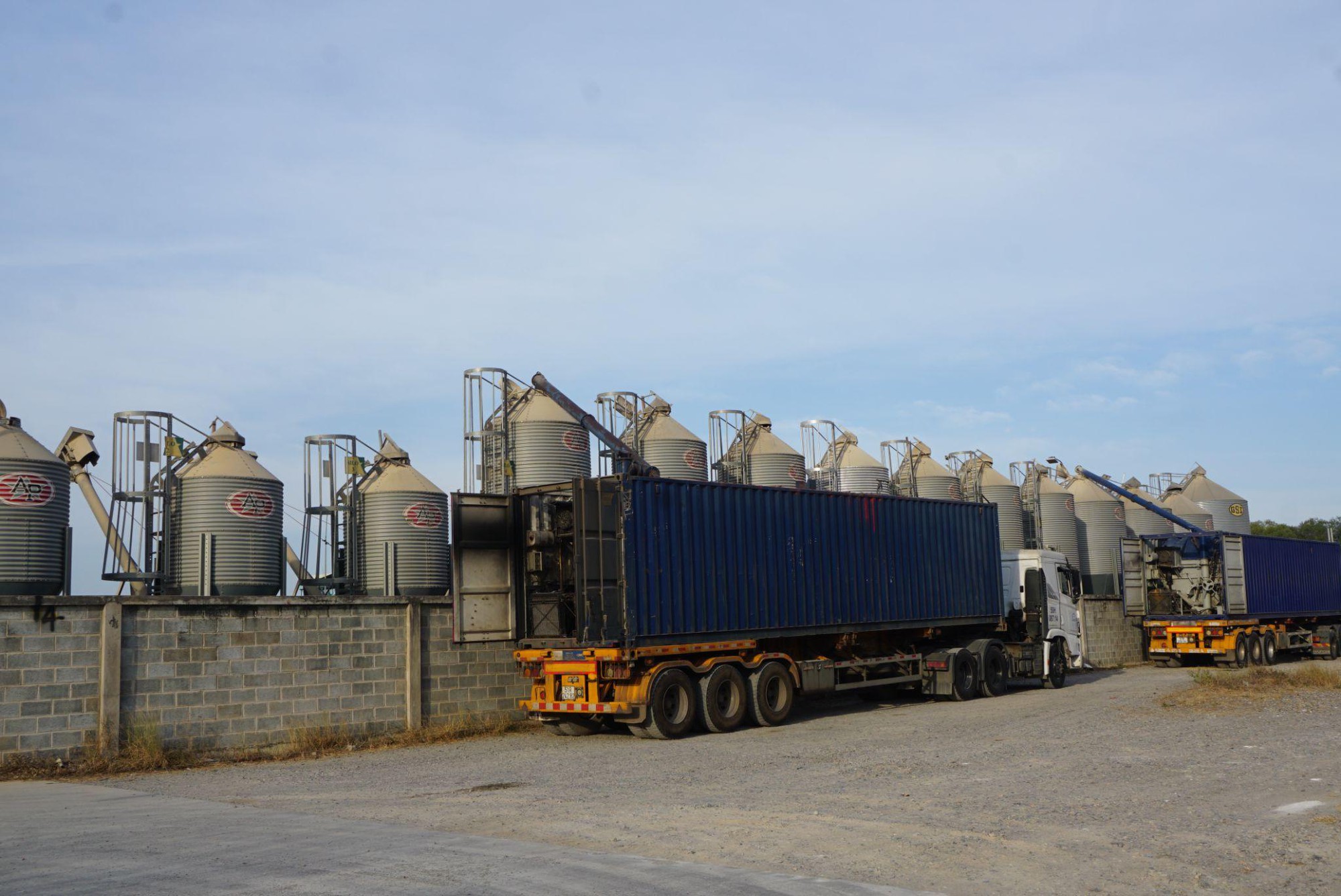 Lợi nhuận Greenfeed tiếp tục tăng trưởng bền vững- Ảnh 1.