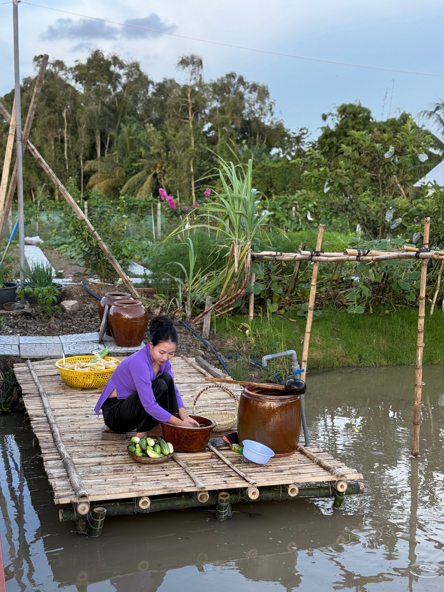 Bỏ phố về quê, vợ chồng miền Tây biến mảnh đất 3.000m2 khô cằn thành khu vườn được quy hoạch thẳng tắp như "chơi game"- Ảnh 15.