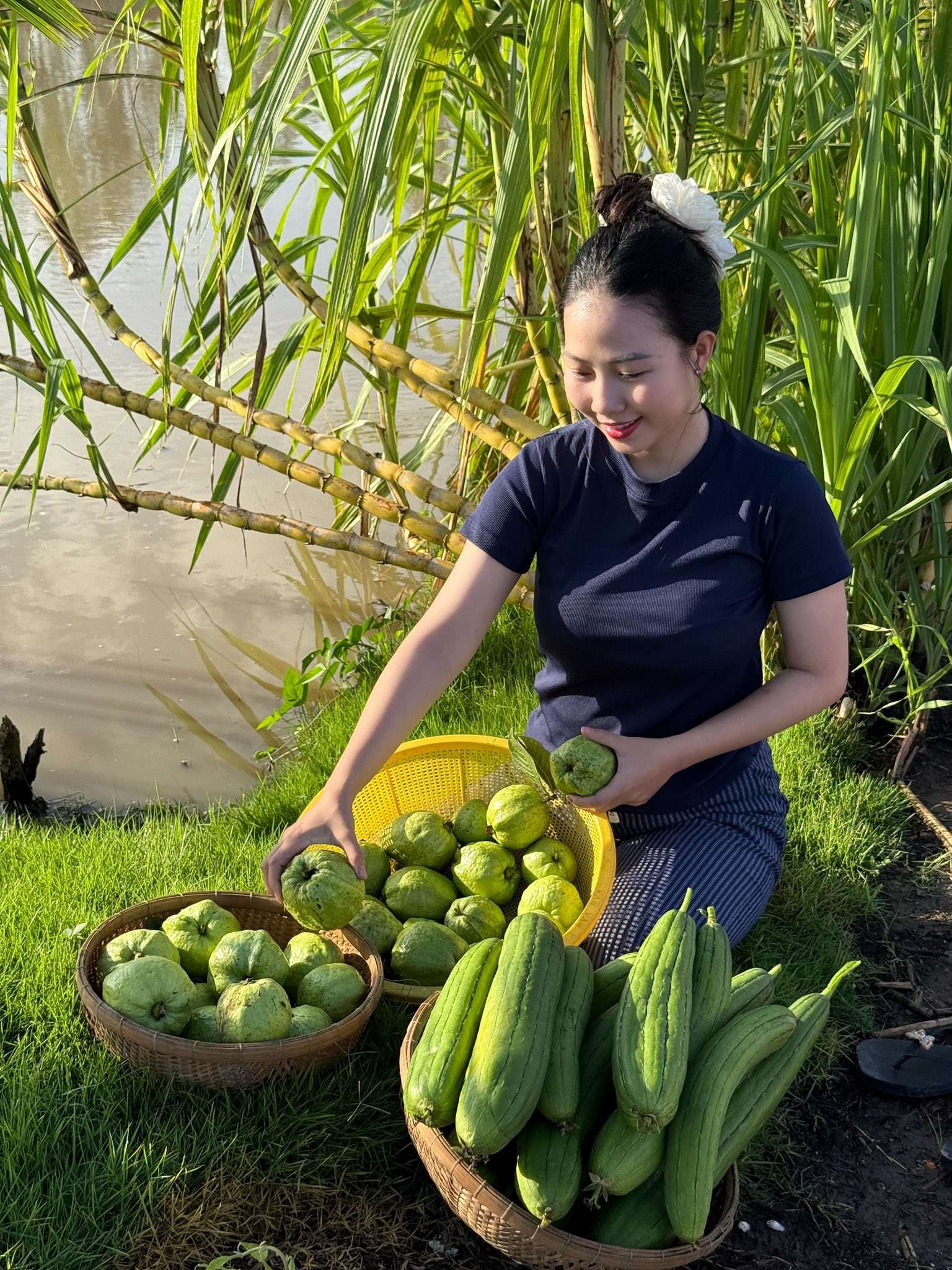 Bỏ phố về quê, vợ chồng miền Tây biến mảnh đất 3.000m2 khô cằn thành khu vườn được quy hoạch thẳng tắp như "chơi game"- Ảnh 14.