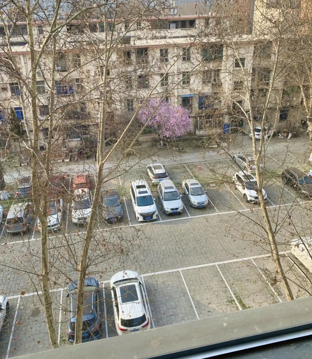 Chuyển từ căn hộ 90m² sang 180m², sống 8 năm rồi quay về - tôi nhận ra nhà rộng không khiến cuộc sống tốt hơn- Ảnh 3.